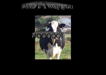 your moo is sexy