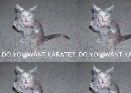 On the Karate cat bandwagon