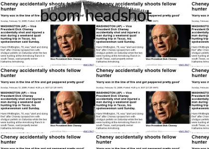 Cheney and Guns