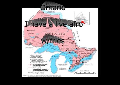 Ontario Hosts Live Afro