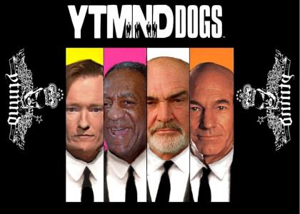 YTMND Dogs (Re-mastered)