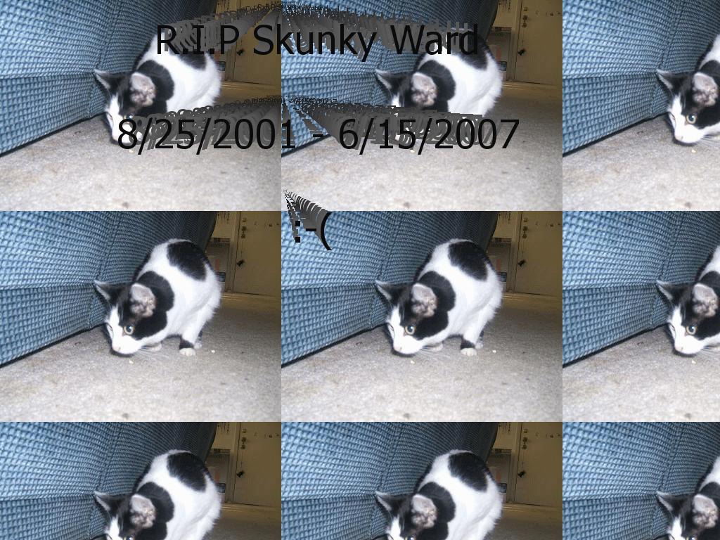 ripskunkyward