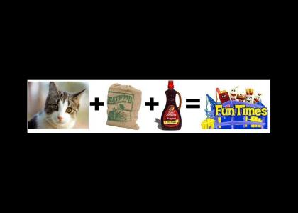 Cat+Burlap Sac+Maple Syrup=Fun Times