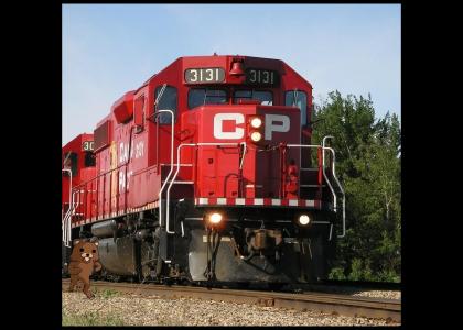 The CP train is coming!