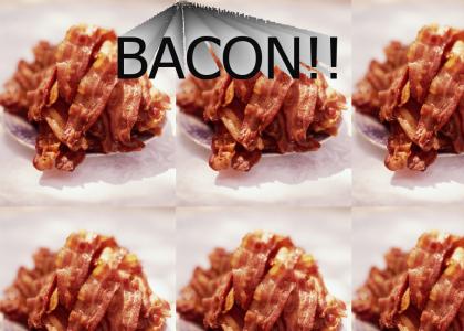 BACON!!