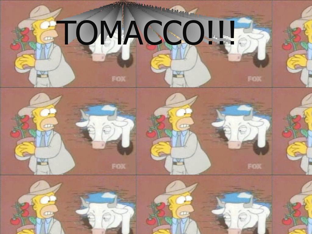 tomacco