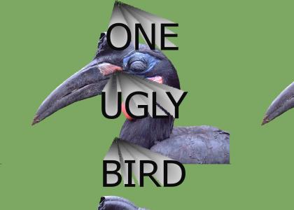 Ugly Bird
