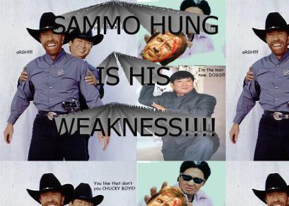 Chuck Norris DOES have a WEAKNESS!!!