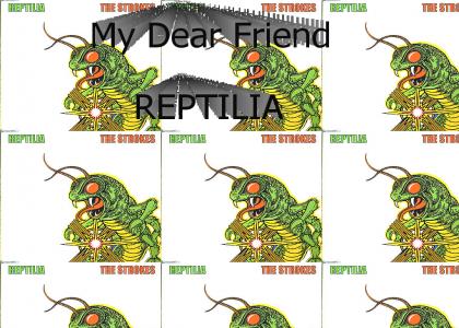 My Dear Friend Reptilia