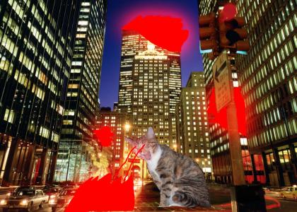Angry Kitten destroys NY