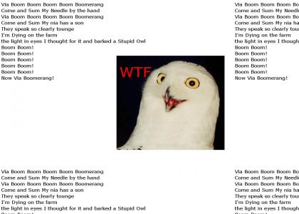 Stupid Owl ! :Interpretation