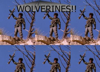 Wolverines!