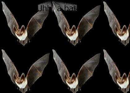 That's Bat