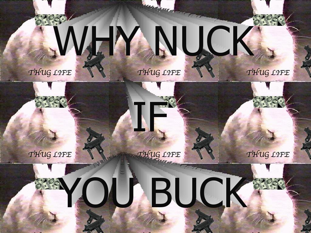 buckbuckbuckbuckbuckbuckbuckbuckbuckbuck