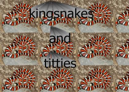 kingsnakes and titties...