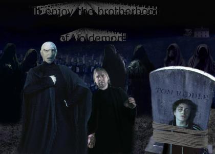 The Brotherhood of Voldemort! (Harry Potter)