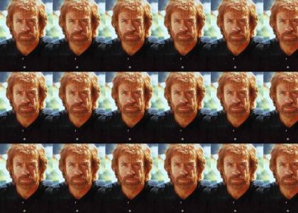 Chuck Norris stares you down