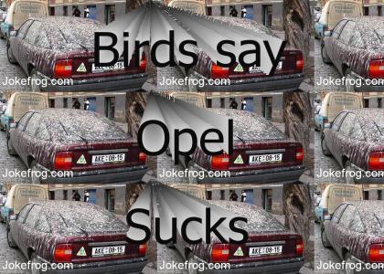 Birds say F U to Opel