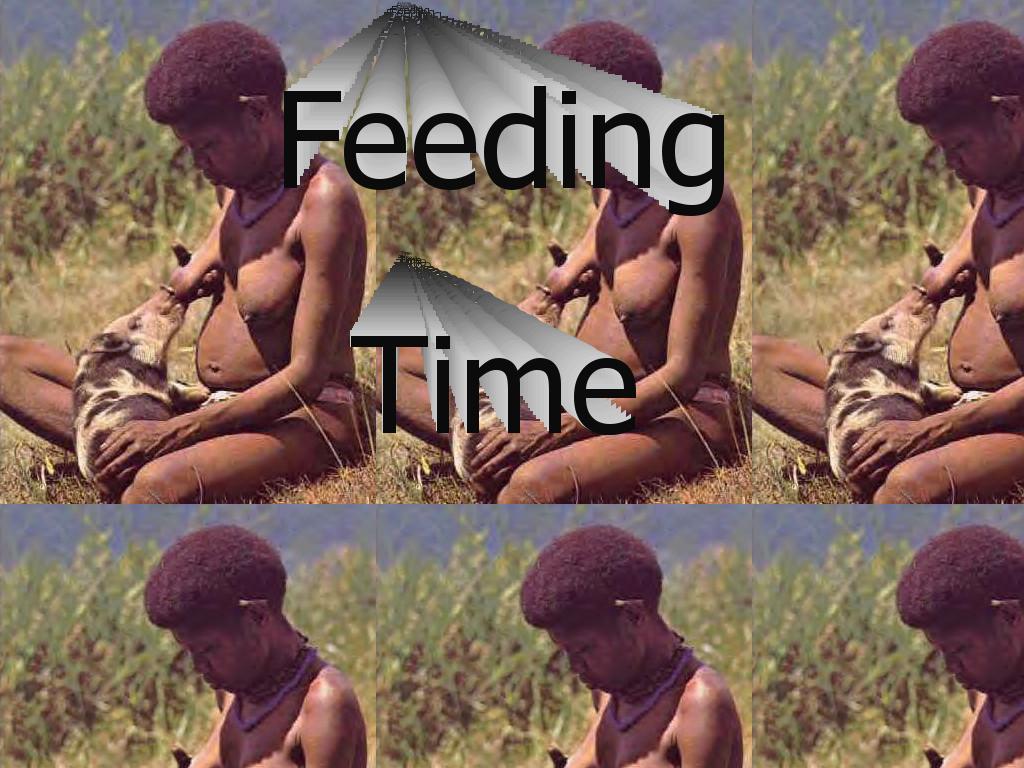 feedthepig