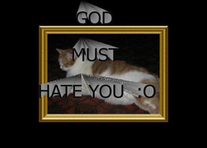 god hate cat