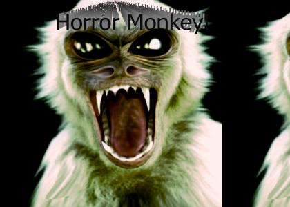 Horror Monkey!