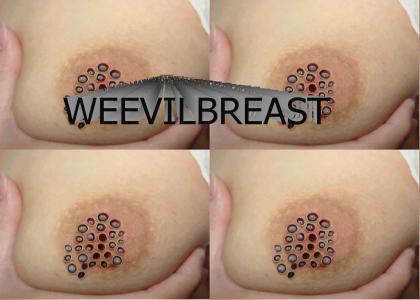 Weevilbreast