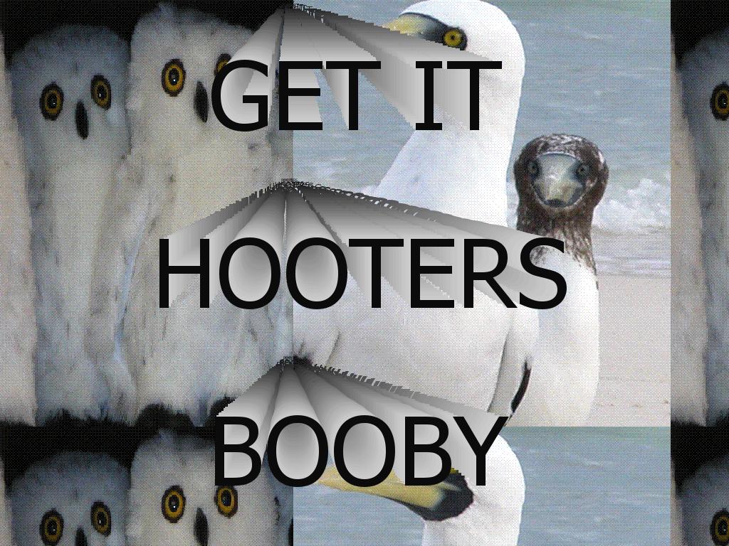 boobshooters