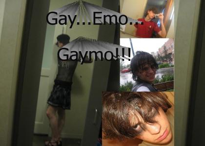 Gay....Emo....Gaymo?