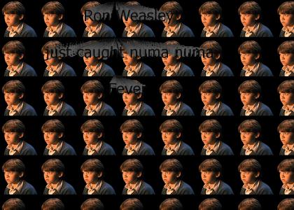 Ron Weasley Has Numa Numa Fever