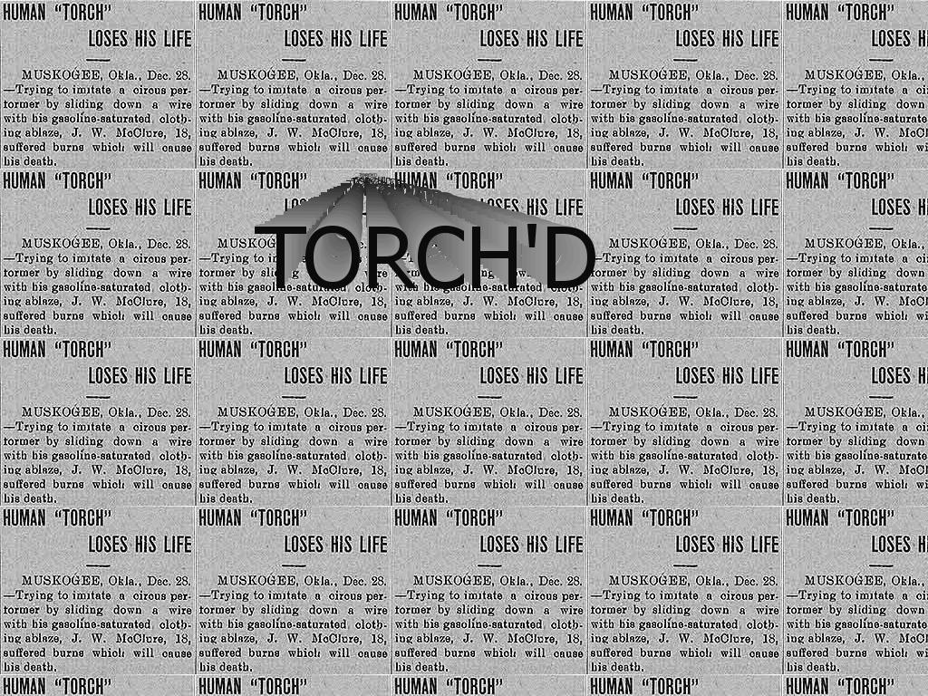 torchedfool