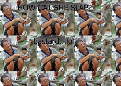 How cat she slap?