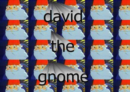 david the g-nome