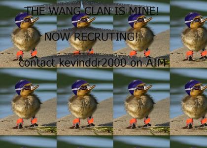 THE WANG CLAN IS MINE!
