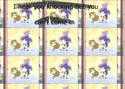 Sonic gives advice on answering the door (AoStH)
