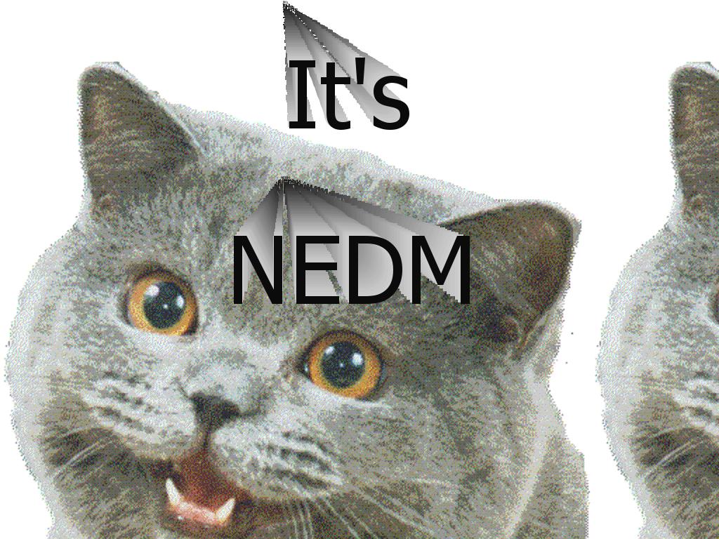 nedmmannedm