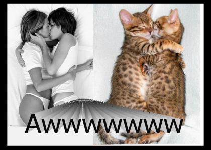Cats and Kisses!