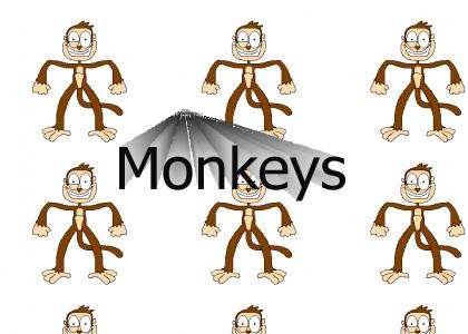 Monkeys