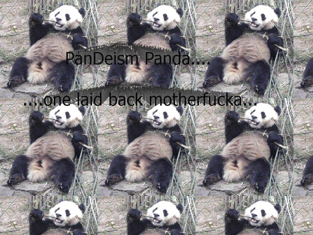 pandeism-panda