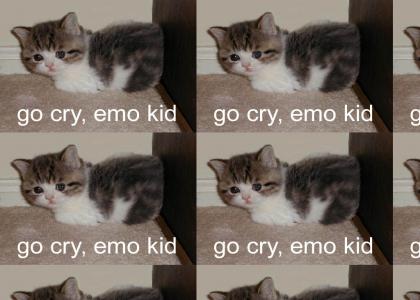 Go cry, Emo Kid.