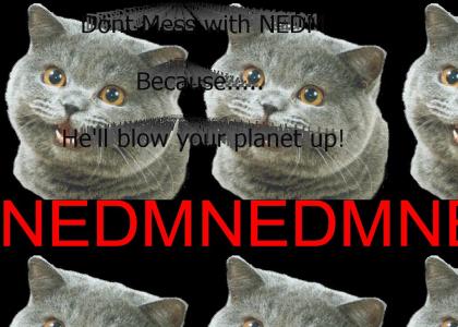 NEDM Is so cute, and will live forever!