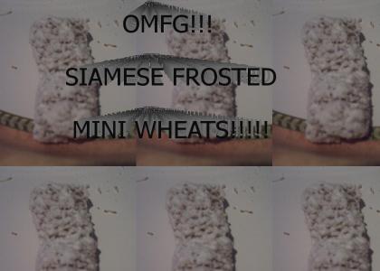 OMFG SIAMESE FROSTED MINI WHEATS TWINS!!!