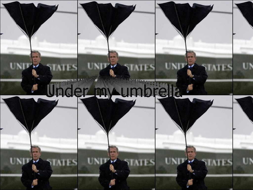 bushumbrella