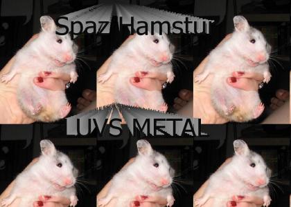 spaz hamstur