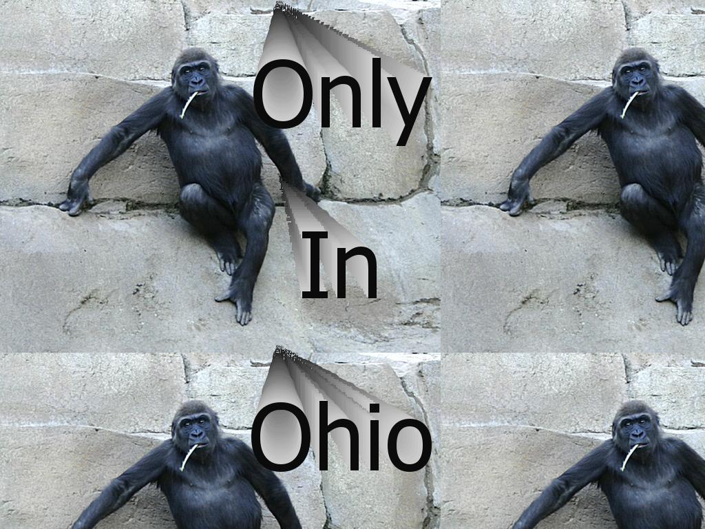 countrygorilla