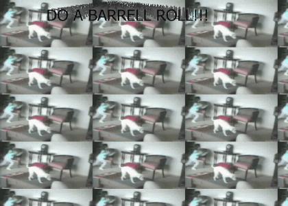 DO A BARRELL ROLL