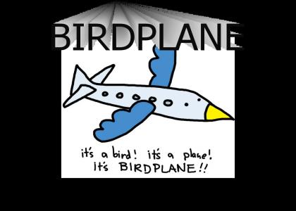 It's a Bird! It's a Plane.....IT'S!!!