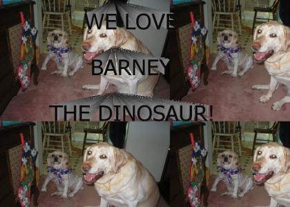 Barney Fans
