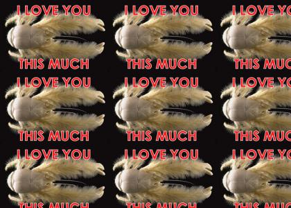 Fluffy Crab Loves You