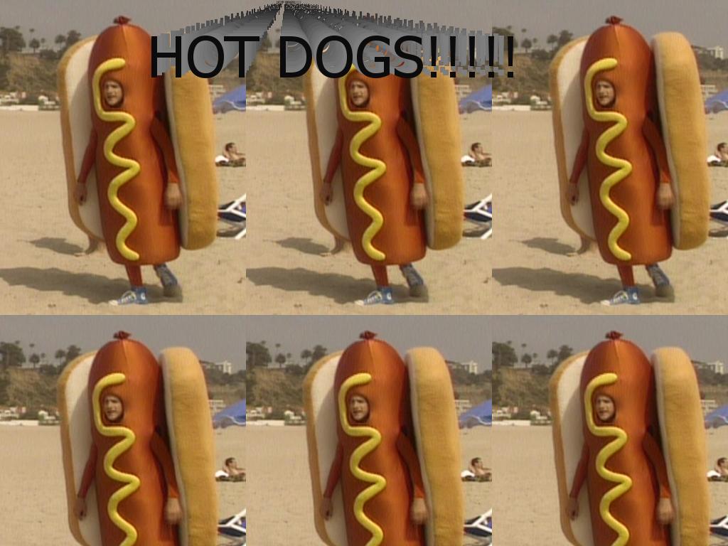 screechhotdog