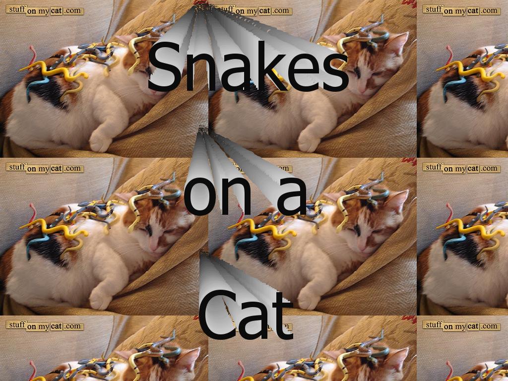 snakesonacat